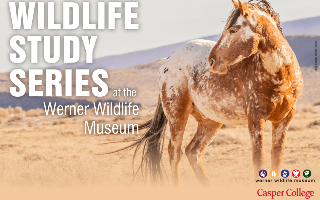 ‘A Celebration of Wild Horses’ topic for April
