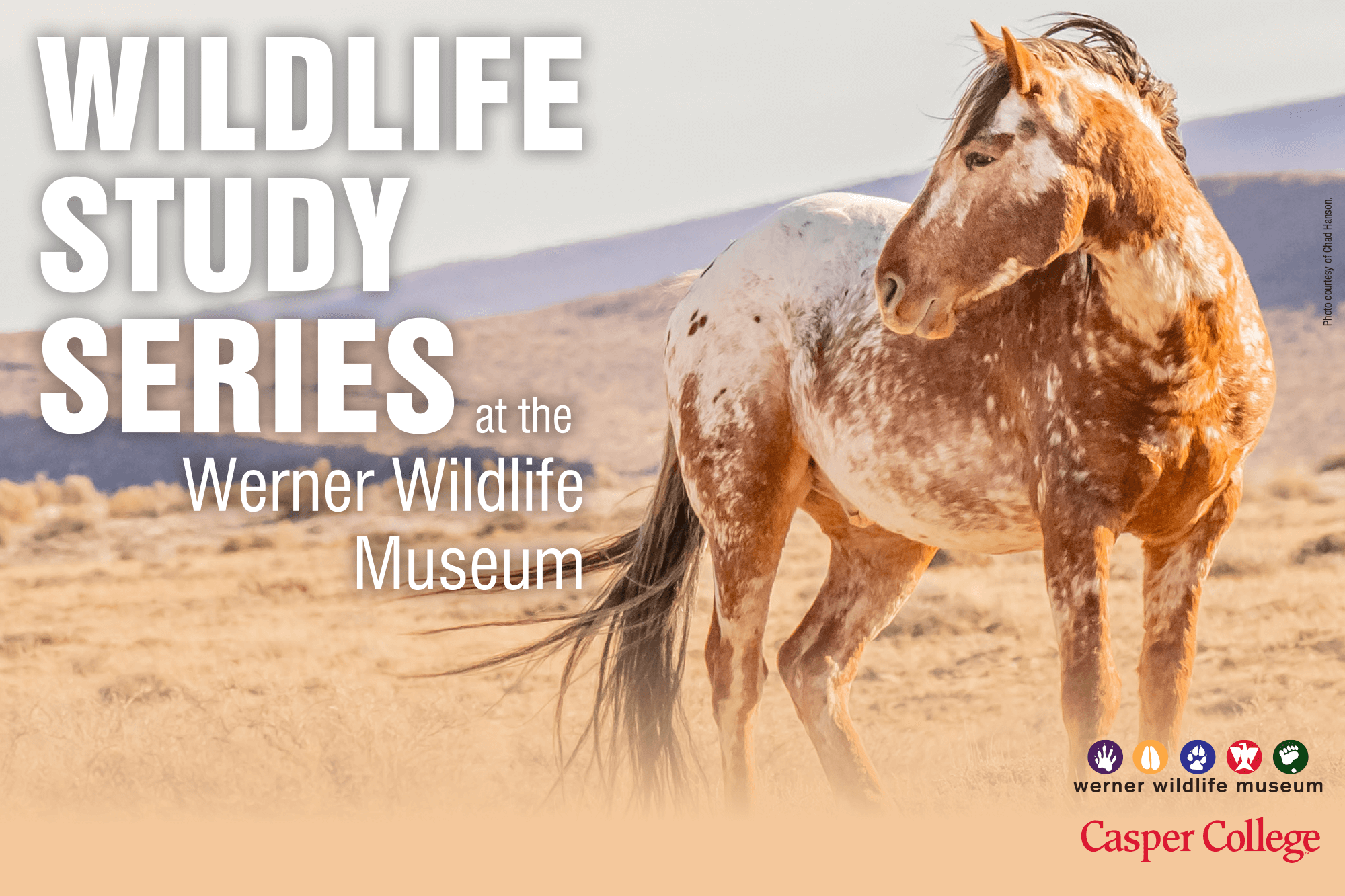FebruaryWildlifeTalkImage0122 Photo of horse for 2022 spring Wildlife Study Series.