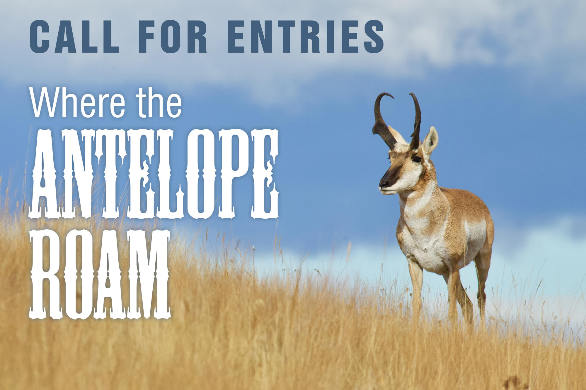 Entries Now Accepted For 'Where The Antelope Roam' Juried Show &Ndash;  Casper College