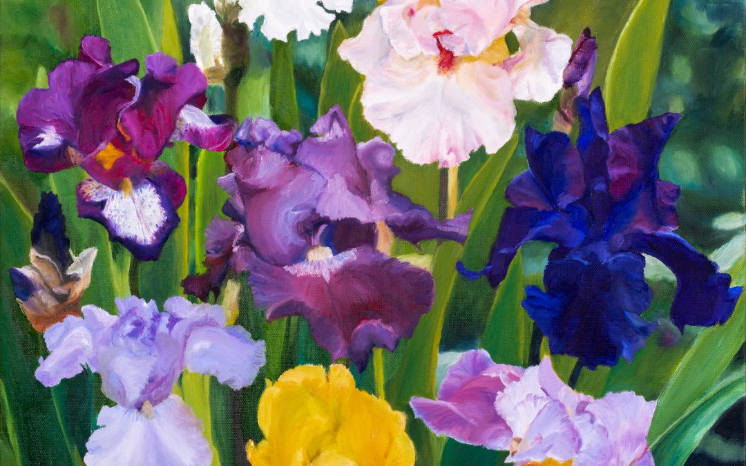 ‘Bumpa’s Garden’ ends May 13