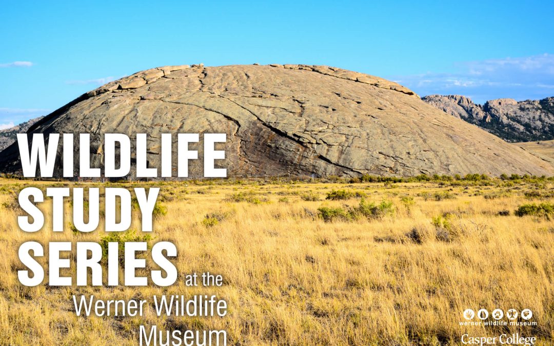 ‘Wildlife at Independence Rock’ August wildlife topic