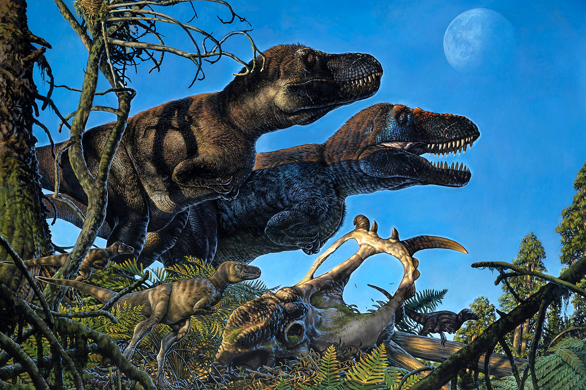 Drawing of dinosaurs.