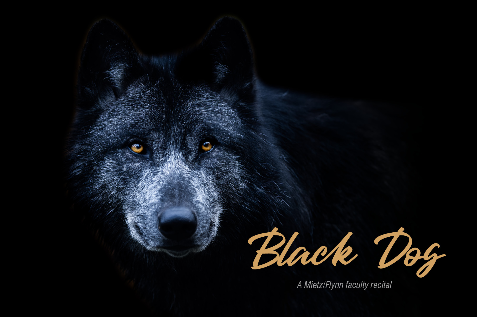 Image for "Black Dog" recital.