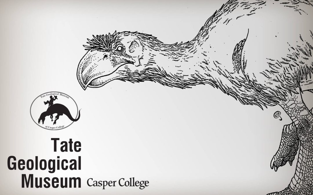 Tate celebrates Fossil Day dedicates beautiful bronze fossil bird sculpture
