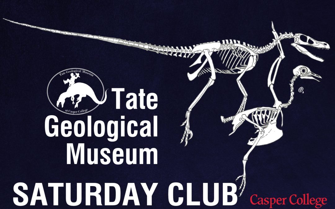 Fossil Birds topic for January Saturday Club