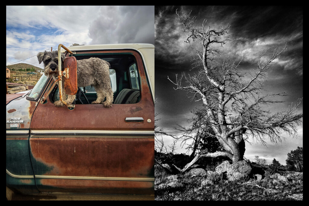 Image of two photographs that are part of the art show "Wind's Home."