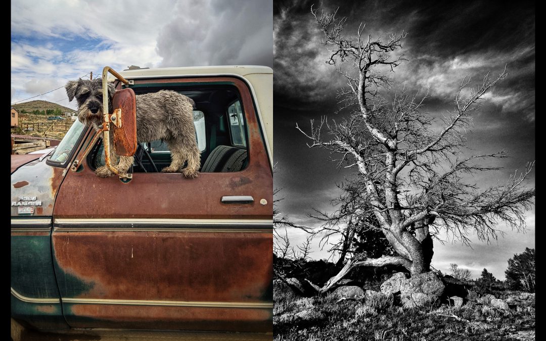 ‘Wind’s Home’ on exhibit through Jan. 11, 2023