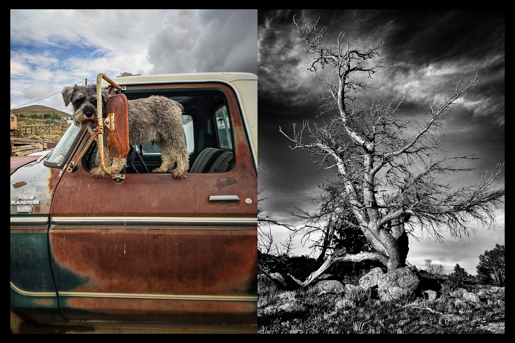 Image of two photographs that are part of the art show "Wind's Home."