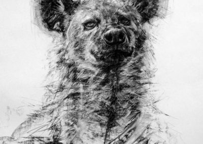 28. Drawing II Jesse Sanchez Hyena 1