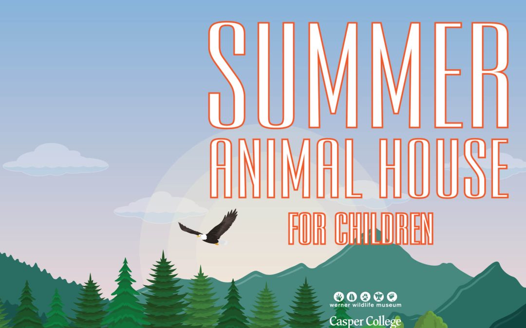Animal House for Children begins in June
