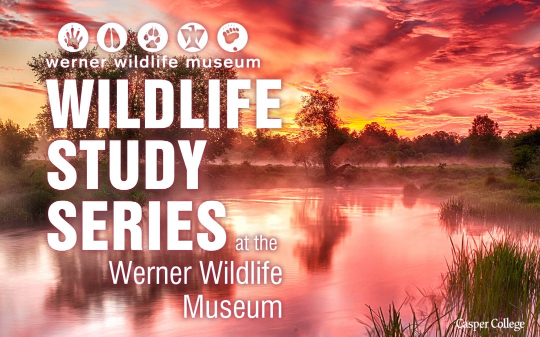 ‘Living Along the North Platte River’ at Werner Wildlife Museum