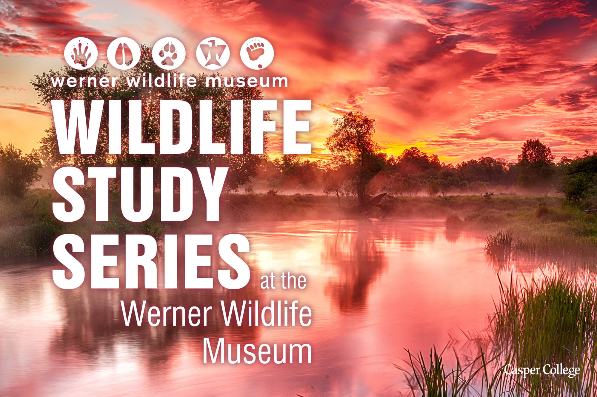 Image for June 2023 Werner Wildlife Study Series.