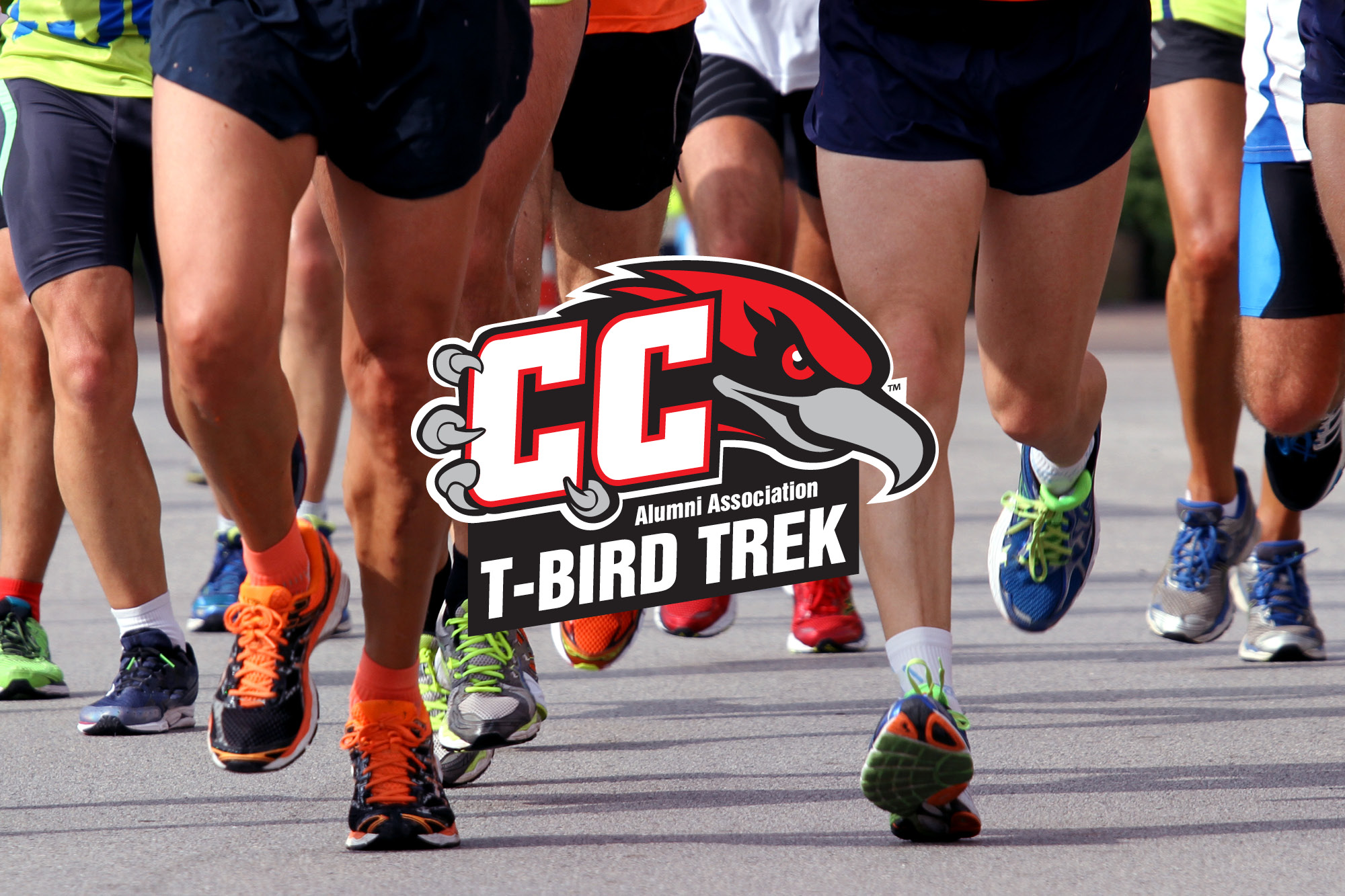 T-Bird TREK Blog 2023 Image for the 2023 T-Bird Trek.
