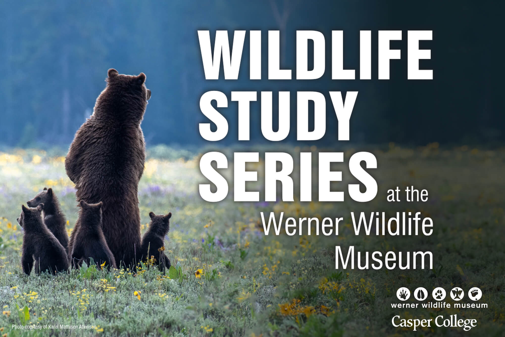 Image for Aug.-Oct. 2023 Werner Wildlife press releases.