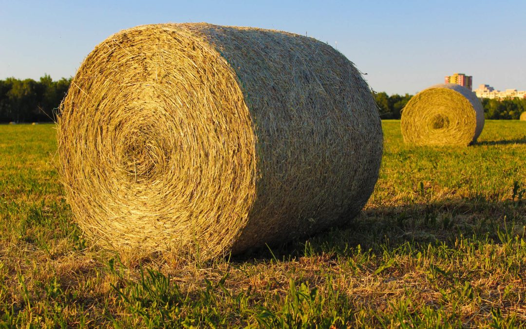 Casper College to host Field Day at CC Ranch