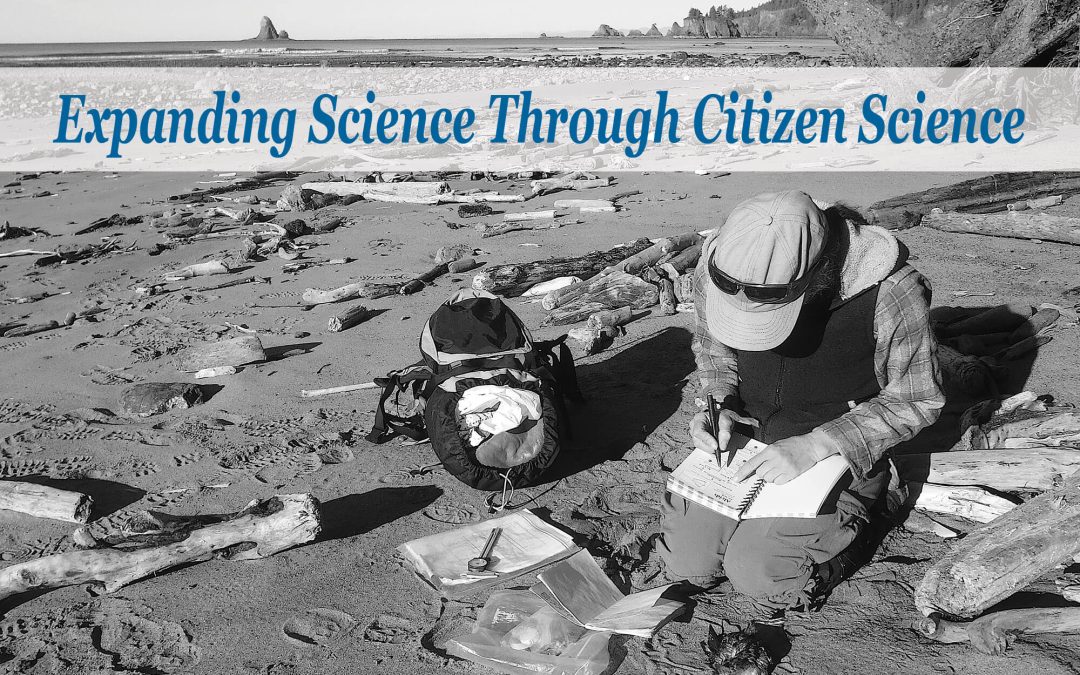 Expansion of science through citizen science topic of Zimmerman