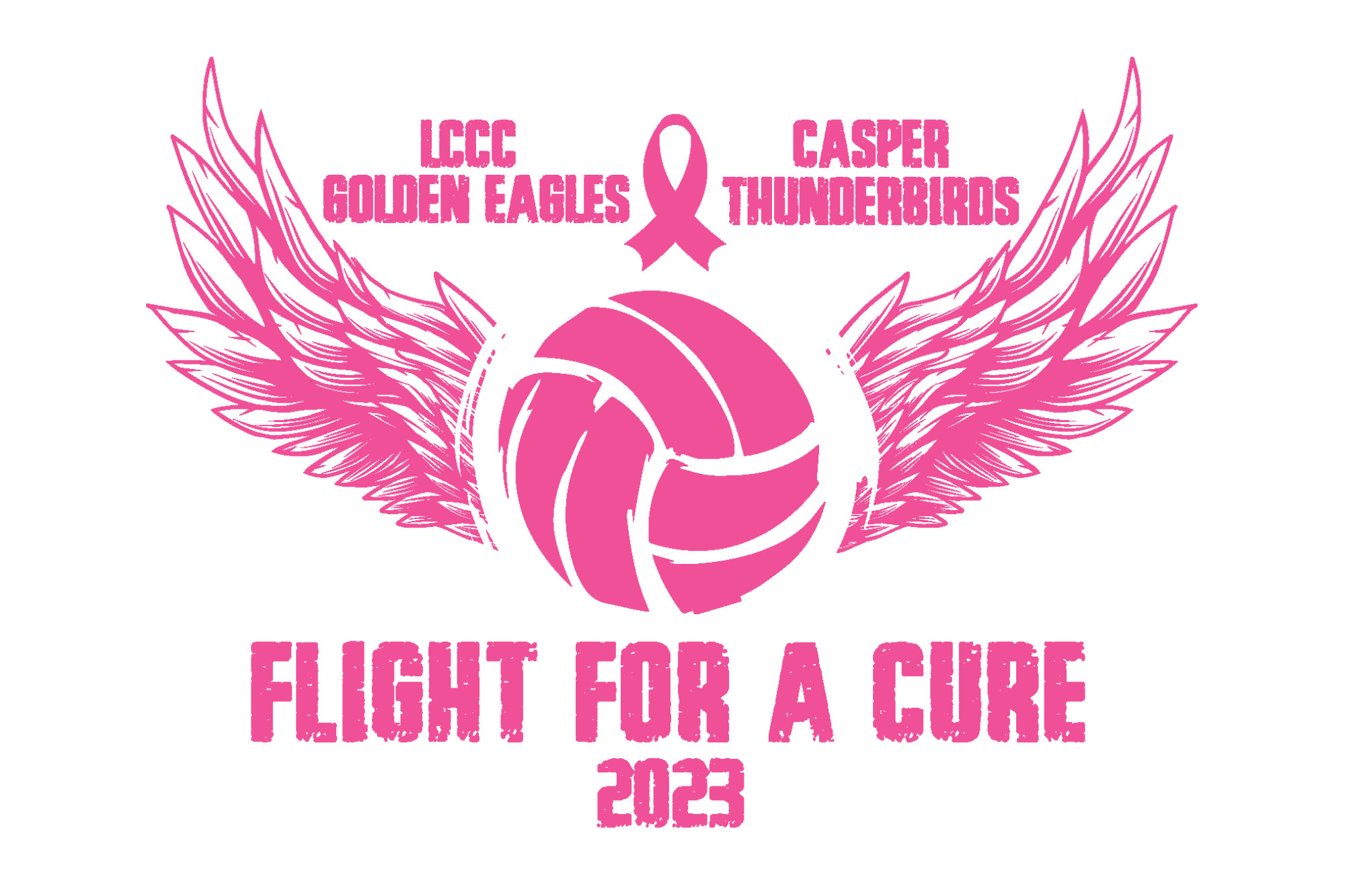 Image for "Flight for a Cure" press release.