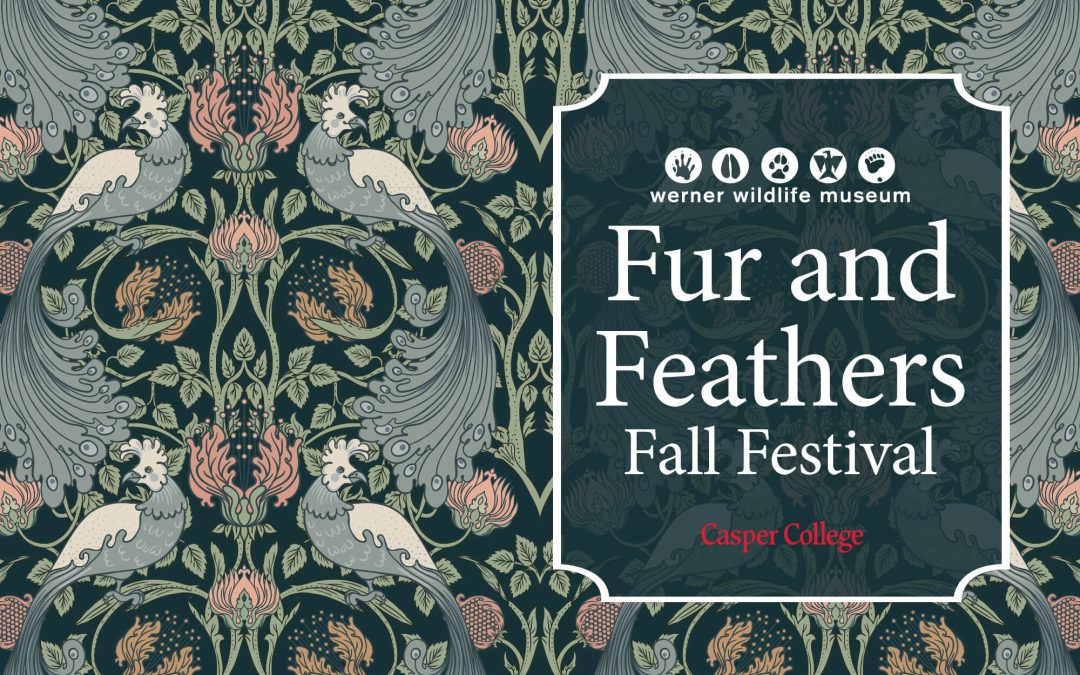 ‘Fur and Feathers Festival’ November 16