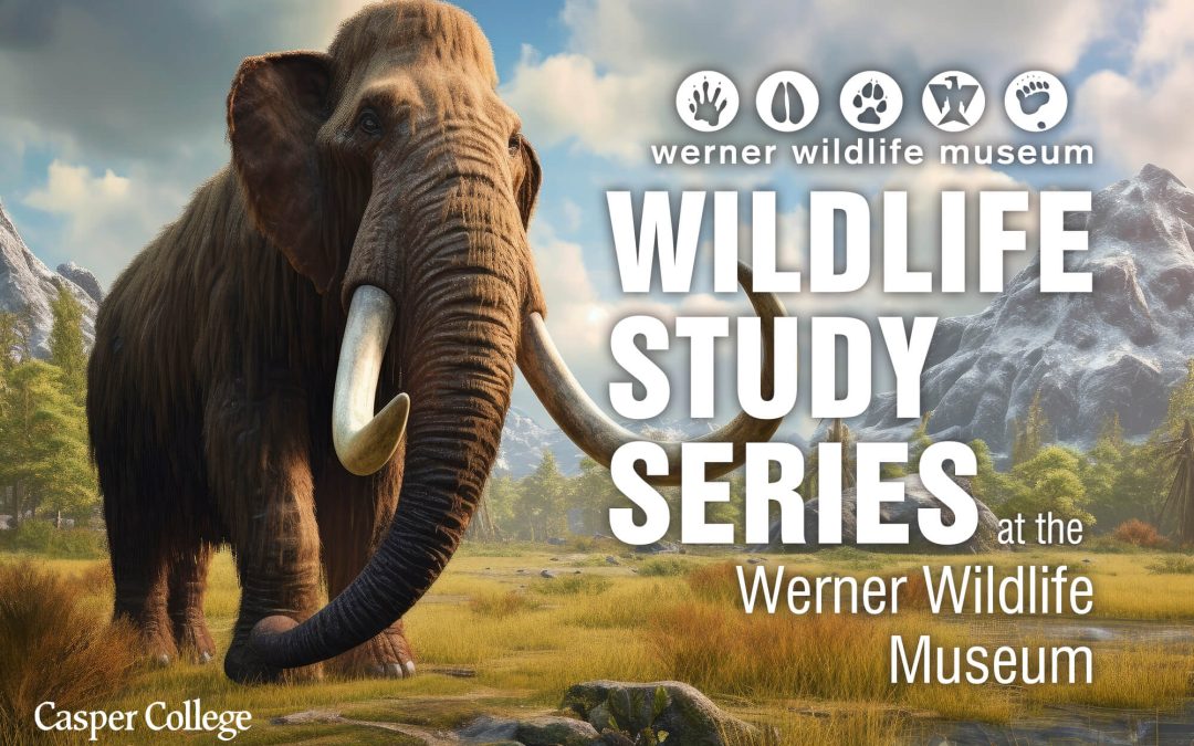 ‘Desertification’ topic of first 2024 Wildlife Study Series