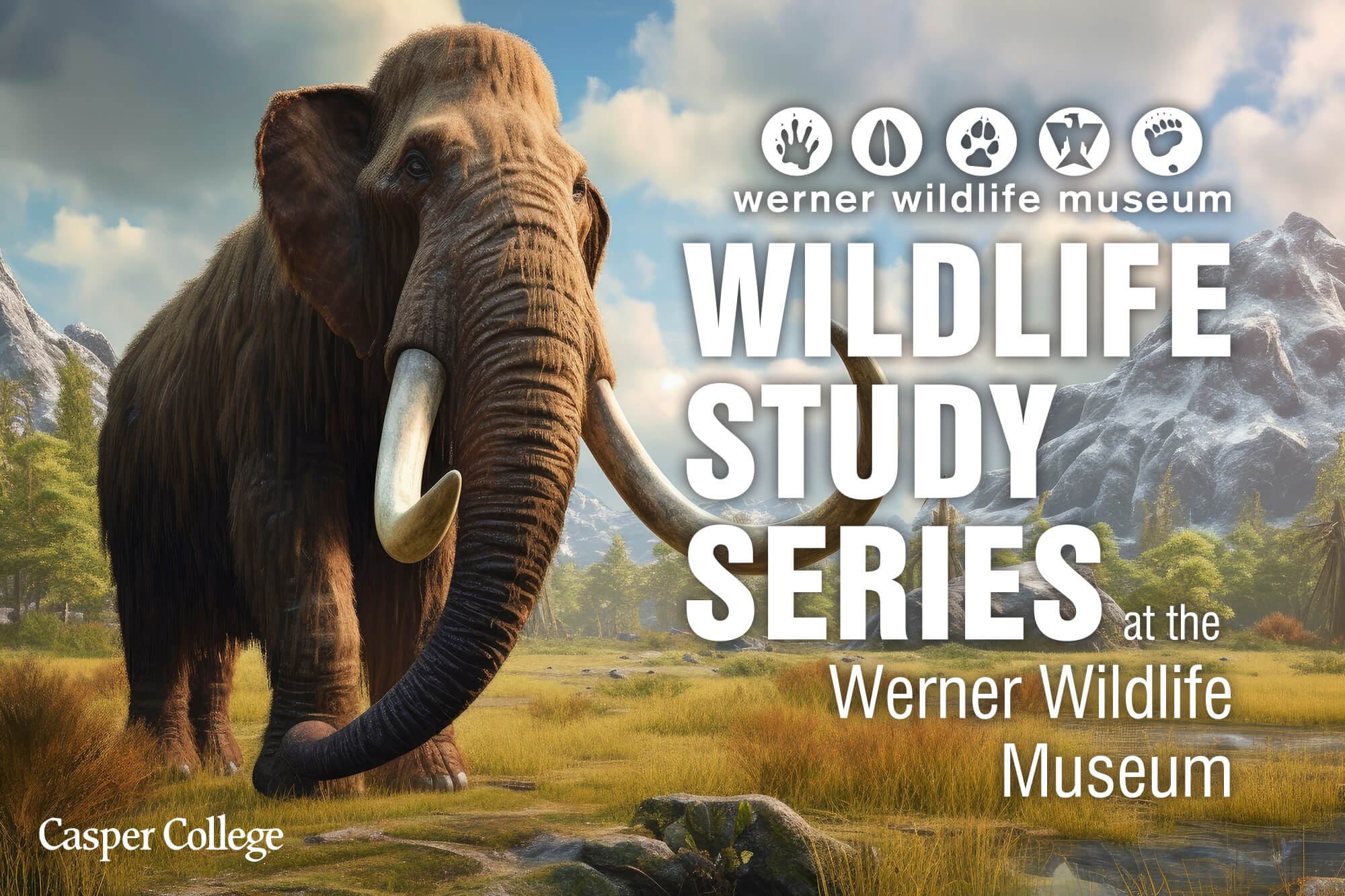 Image for February, March, and April Werner Wildlife Study Series press releases.