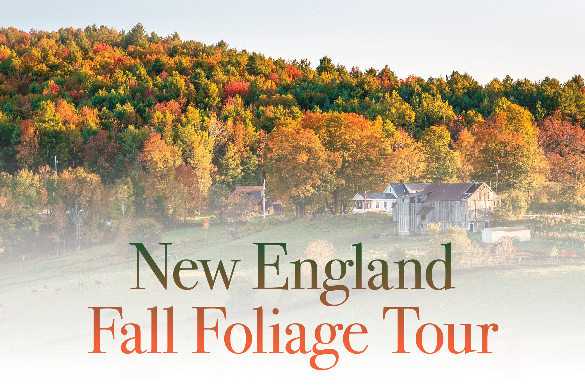 Image for New England Fall Foliage trip press release.