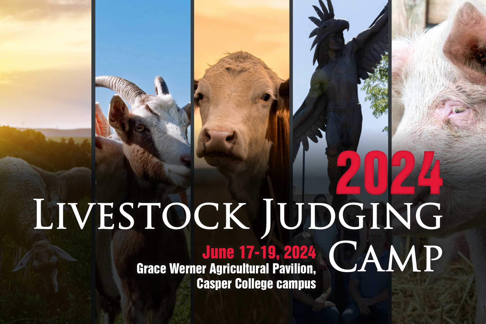 2024 livestock judging camp. june 17-19, 2024 Grace werner agricultural pavilion casper college campus
