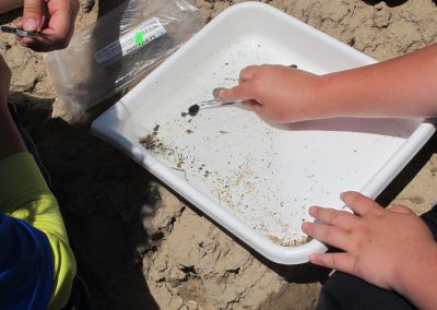 students looking for specimens in a tub at a muddy river