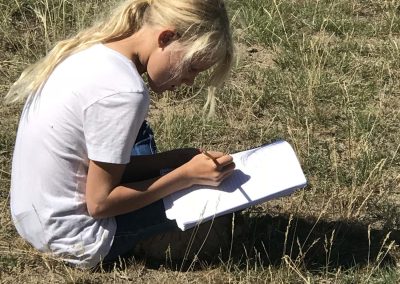 Girl drawing in a grassy field