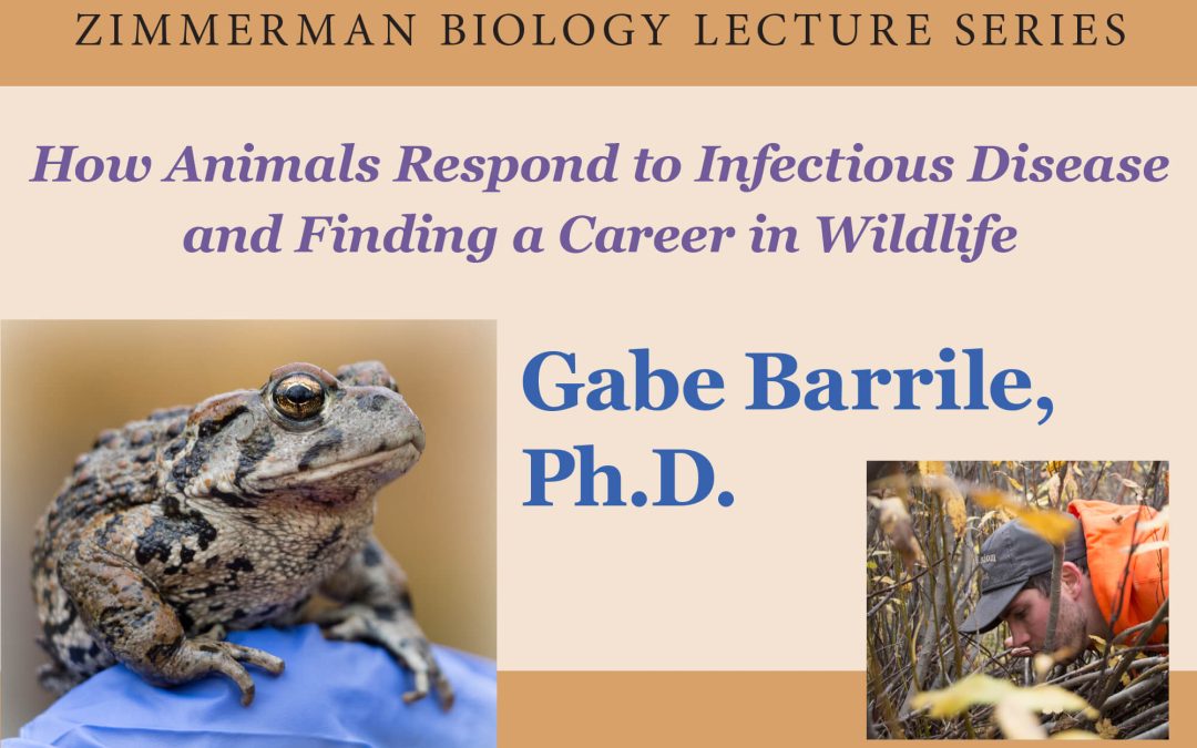 ‘How Animals Respond to Infectious Disease’ topic of Zimmerman