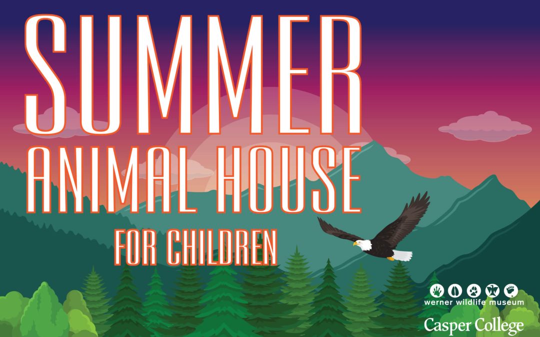 Summertime fun: Animal House for Children begins June 6