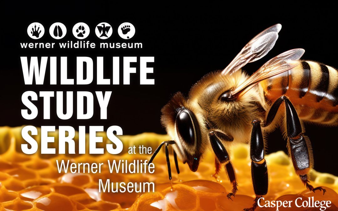 Werner Wildlife Series abuzz with bees in May