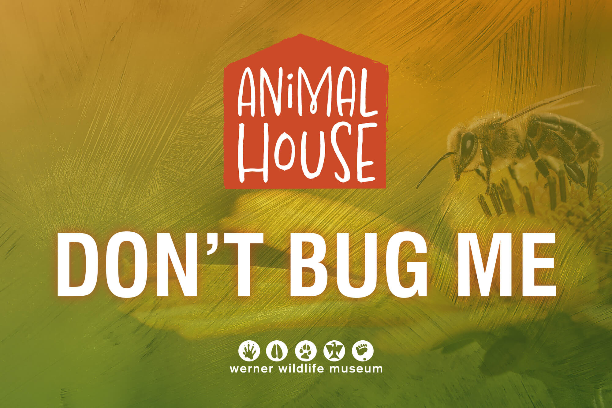 Image for the August 2025 Animal House with the topic "Don't Bug Me."