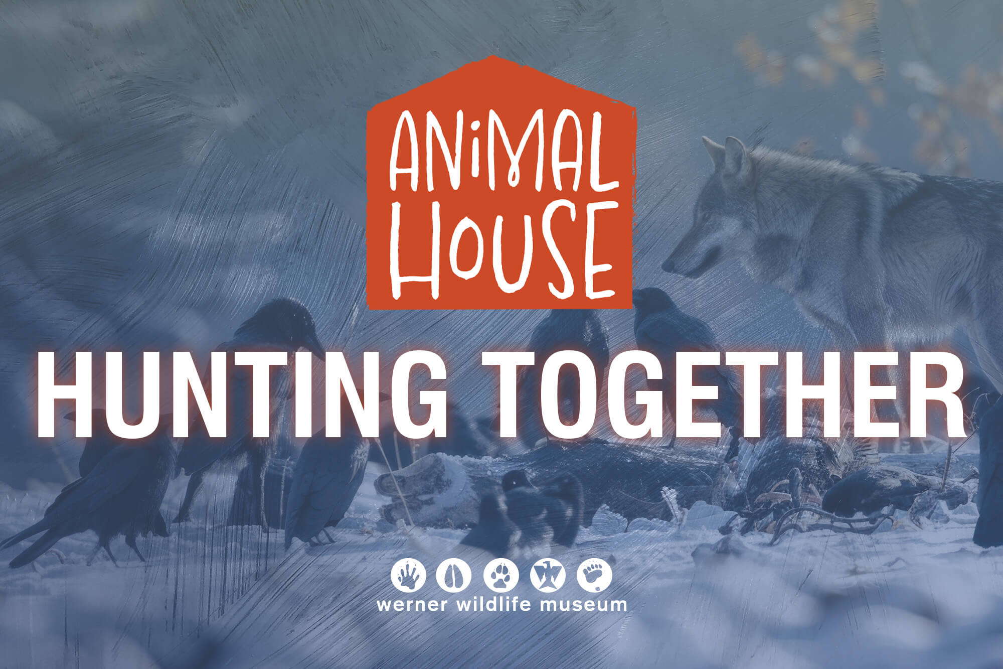 AnimalHouseJuneImage Created image for July 2025 Summer Animal House press release.