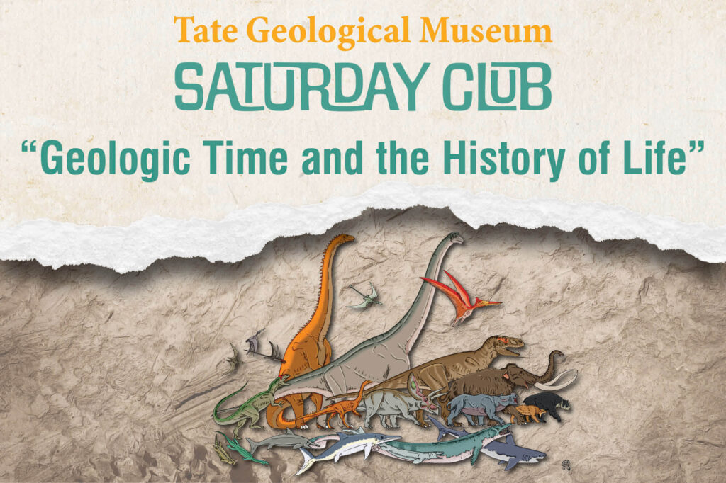 Image of dinosaurs and fossil fish for Sept. 2025 Tate Geoogical Museum Saturday Club.
