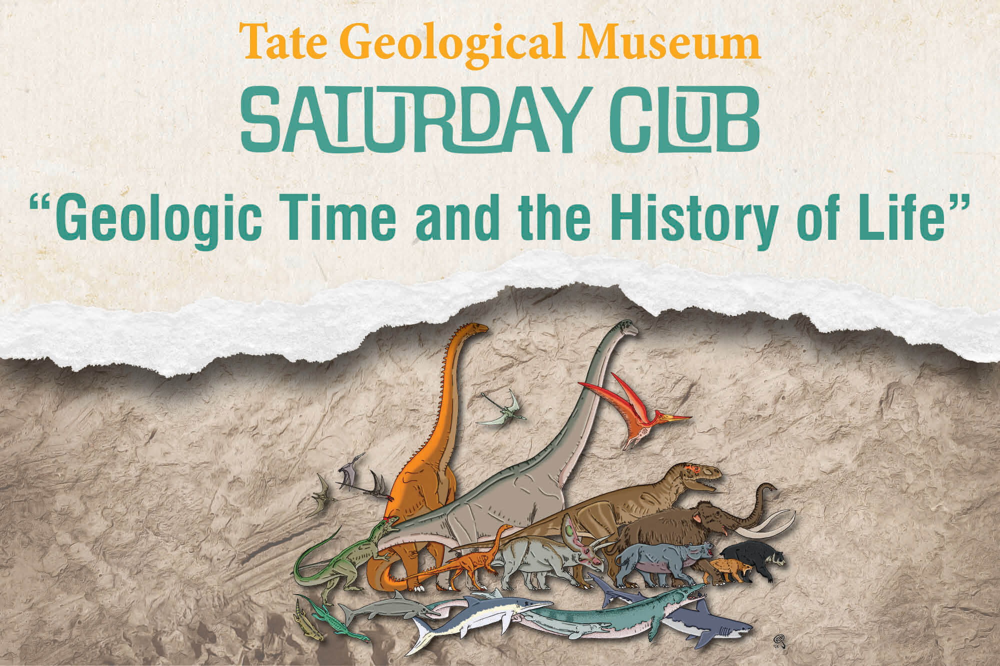 TateSaturdayClubSeptemberImage Image of dinosaurs and fossil fish for Sept. 2025 Tate Geoogical Museum Saturday Club.