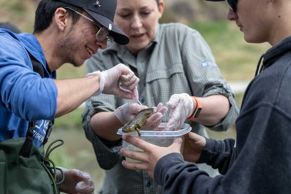 catching-fish-FB-CC-school-of-sceince catching-fish-FB-CC-school-of-sceince