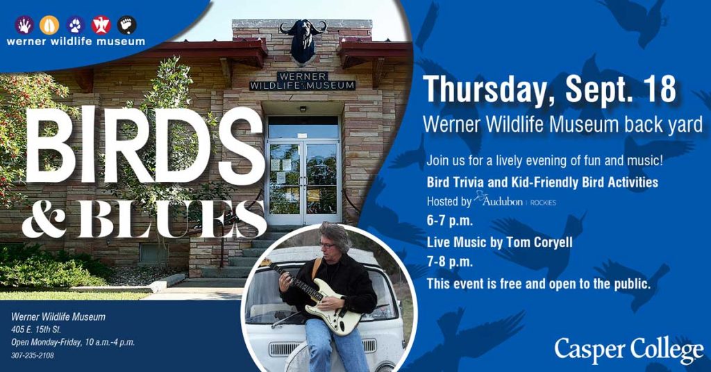 Promotional graphic for Birds & Blues at the Werner Wildlife Museum. Event is Thursday, Sept. 18, in the museum back yard. Bird trivia and kid-friendly bird activities hosted by Audubon Rockies from 6 to 7 p.m., followed by live music from Tom Coryell from 7 to 8 p.m. Event is free and open to the public. Image shows the museum entrance and a photo of a musician playing guitar, with bird silhouettes in the background. Casper College and Werner Wildlife Museum logos included.