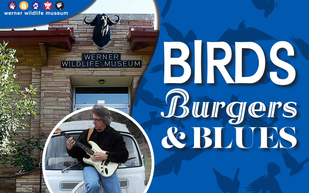 Enjoy ‘Birds, Burgers, and Blues’ at the Werner Wildlife Museum