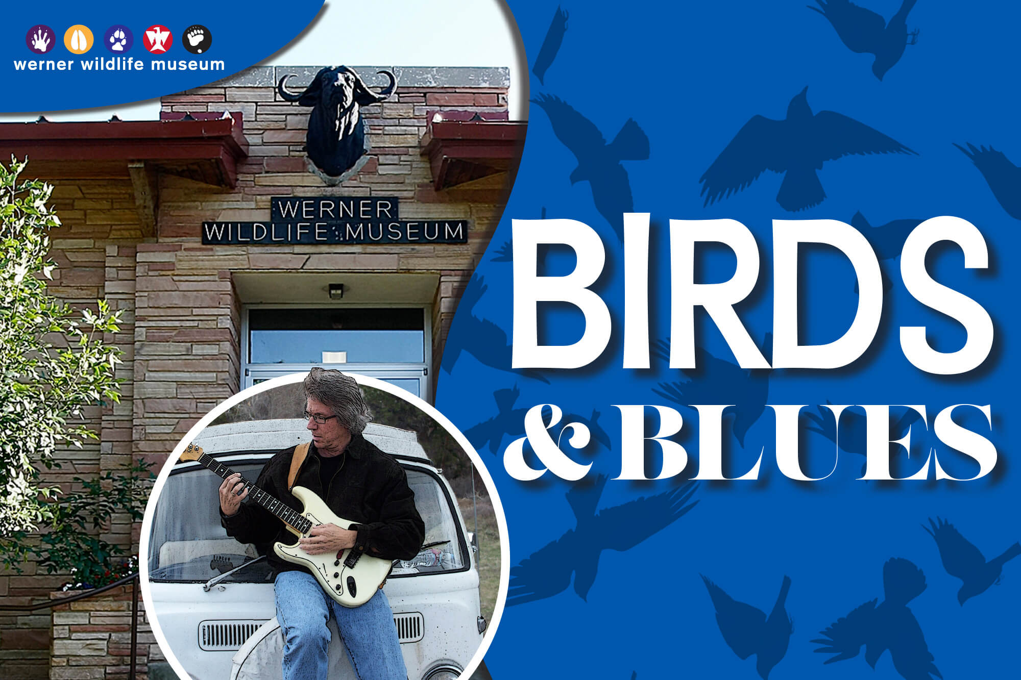 Revised image for a revised event: "Birds and Blues" for the revised press release.