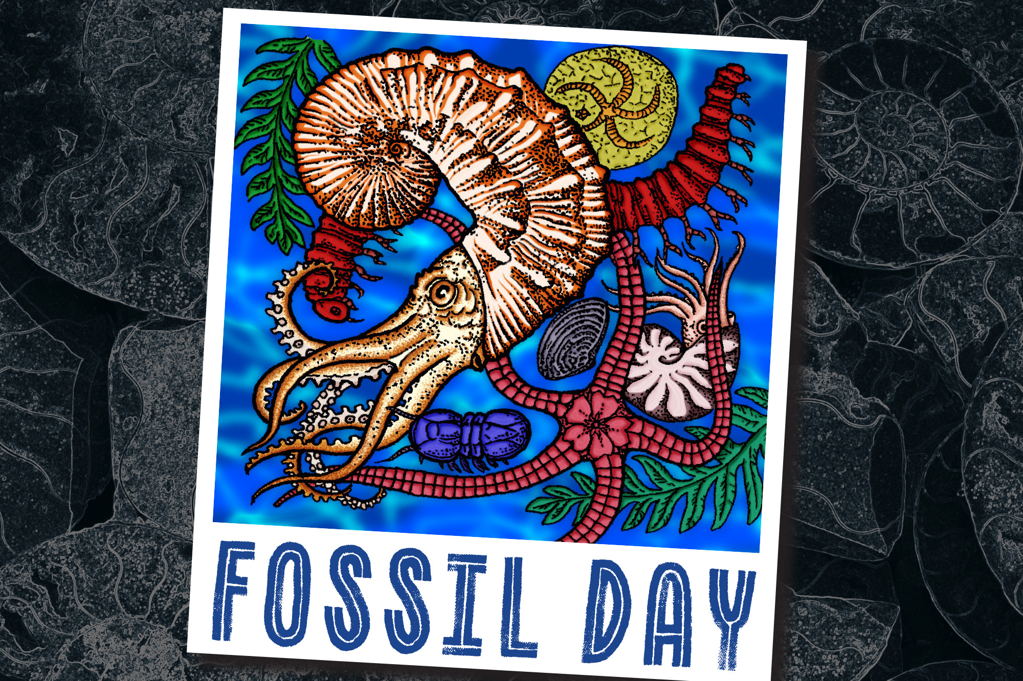 Image of this year's Fossil Day poster created for the press release.