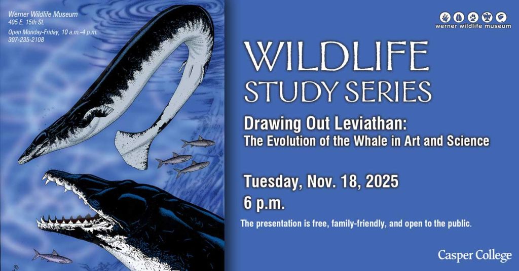 Event graphic for Casper College’s Wildlife Study Series: ‘Drawing Out Leviathan — The Evolution of the Whale in Art and Science,’ Tuesday, Nov. 18, 2025, 6 p.m., at the Werner Wildlife Museum; free and family-friendly. Blue background with illustrated prehistoric whales and fish.