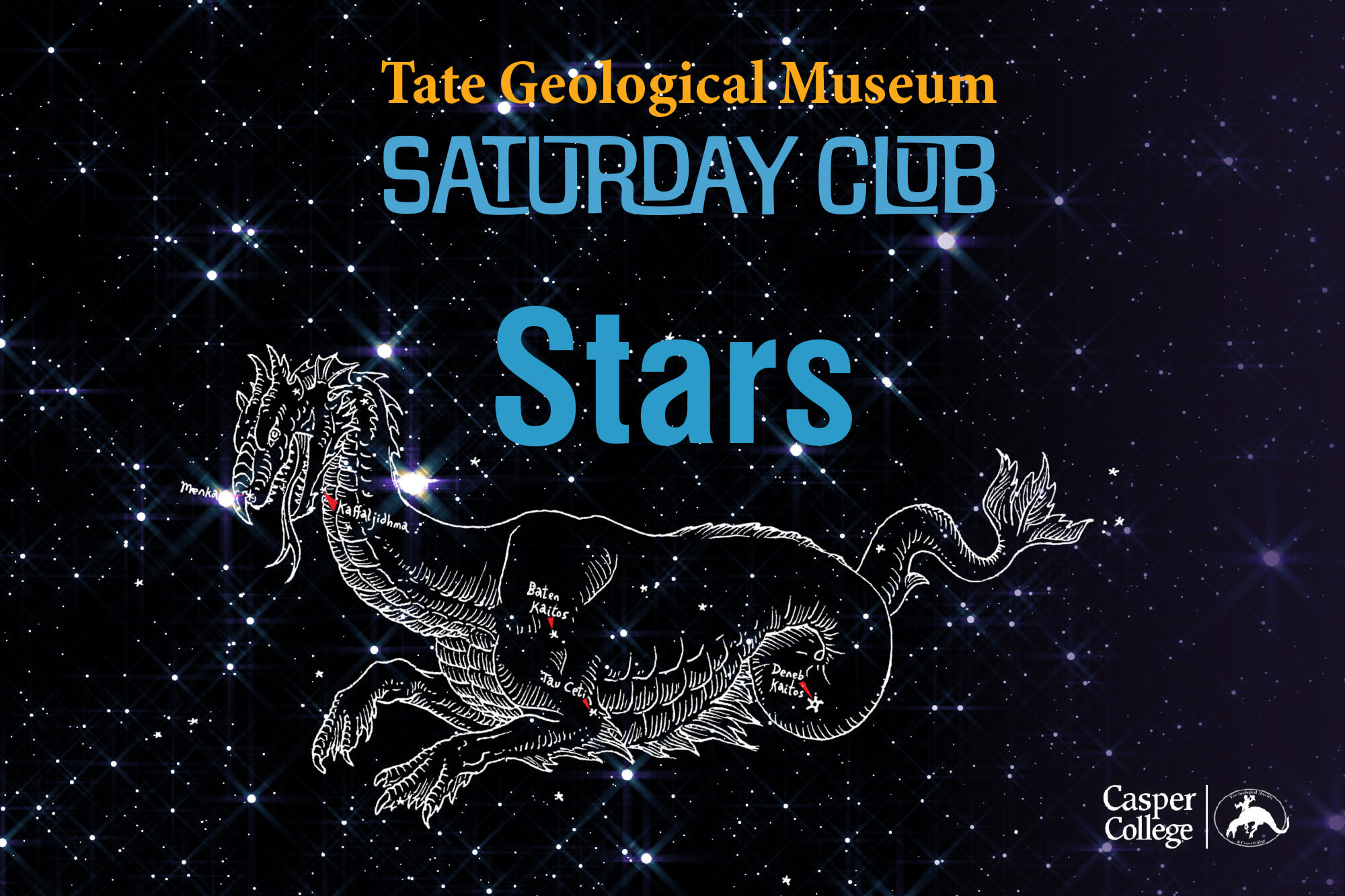 TateSaturdayClubNovemberImage Image of the night sky with a dragon drawn in and the words "Tate Geological Museum Saturday Club Stars."