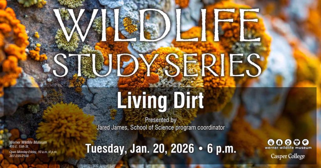 Flyer for the Werner Wildlife Museum’s Wildlife Study Series event titled ‘Living Dirt,’ with a close-up photo of orange and yellow lichens on rock. Text reads: ‘Living Dirt, presented by Jared James, School of Science program coordinator, Tuesday, Jan. 20, 2026 • 6 p.m., Werner Wildlife Museum, 405 E. 15th St., open Monday–Friday 10 a.m.–4 p.m., 307-235-2108,’ with Werner Wildlife Museum and Casper College logos at the bottom.
