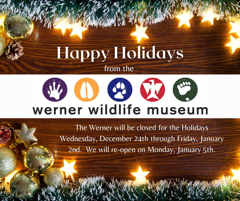 Christmas Hours Werner 2025