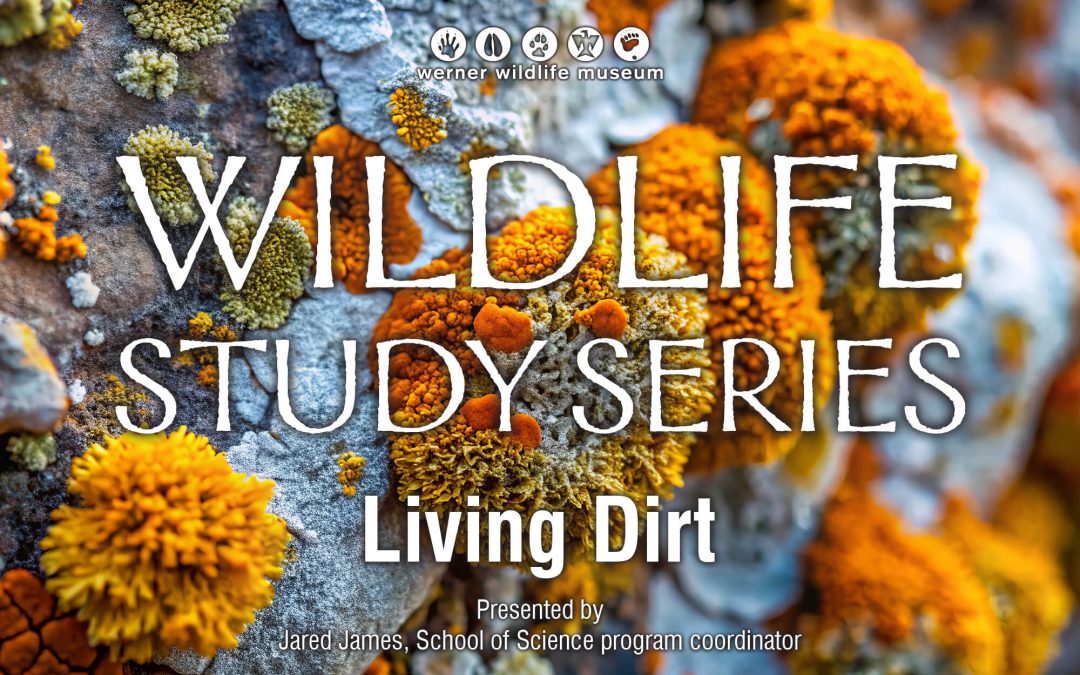 ‘Living Dirt’ important subject of first 2025 Wildlife Study Series
