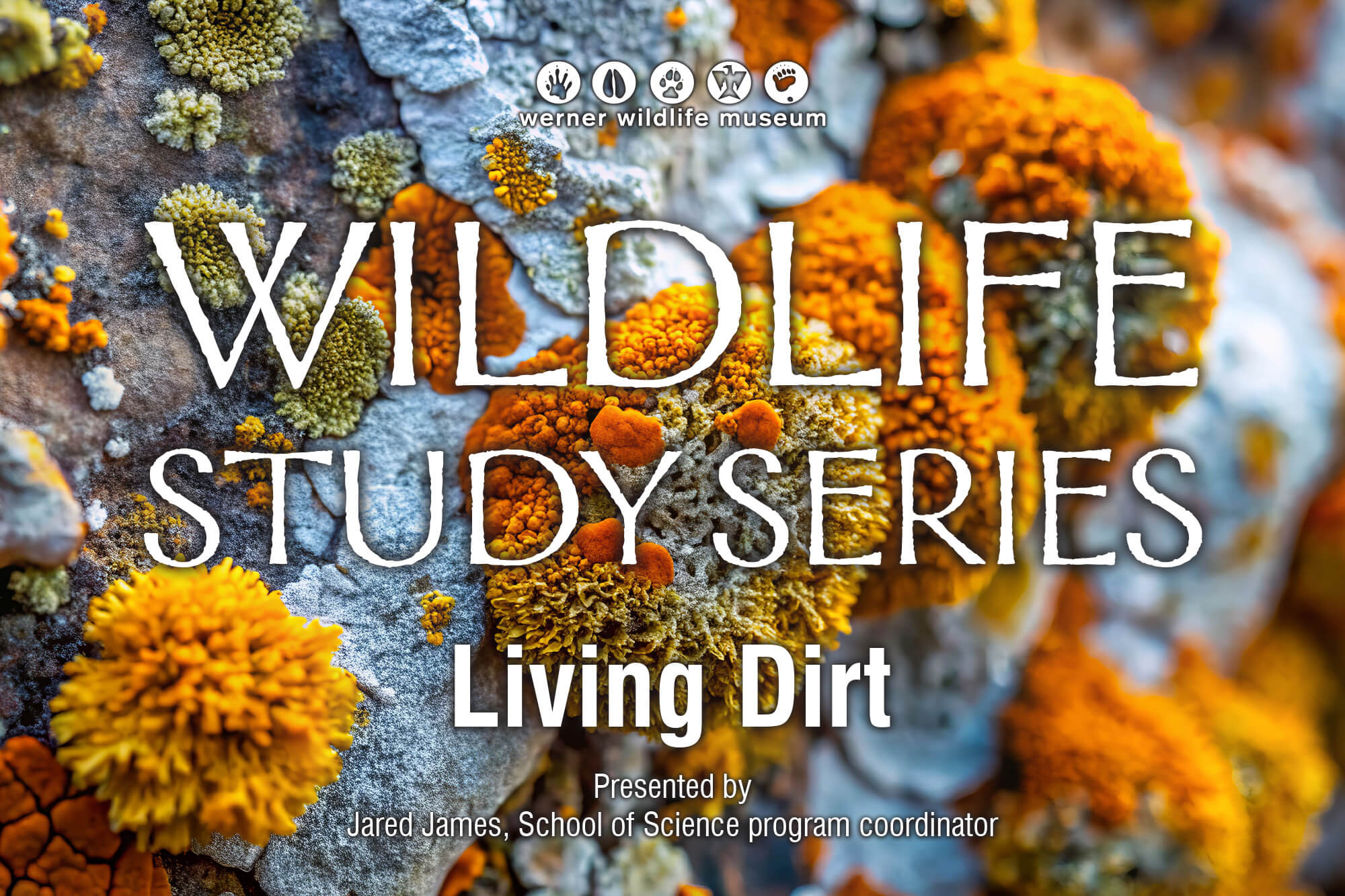 JanuaryWildlifeTalkImage Image of lichens and mosses on the ground to illustrate the press release for the January 2026 Werner Wildlife Speaker Series.