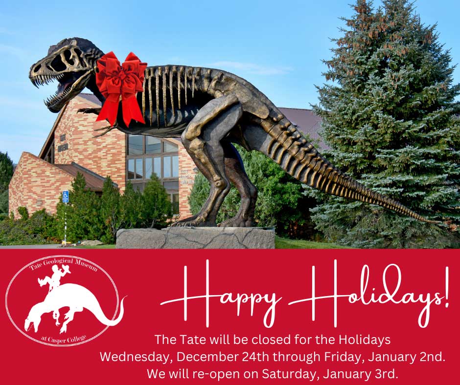 “Holiday announcement graphic for the Tate Geological Museum at Casper College, featuring a large outdoor T. rex skeleton statue wearing a big red bow in front of the museum building and trees. Text on a red banner reads ‘Happy Holidays! The Tate will be closed for the Holidays Wednesday, December 24th through Friday, January 2nd. We will re-open on Saturday, January 3rd.’ A white Tate Geological Museum logo appears on the left.