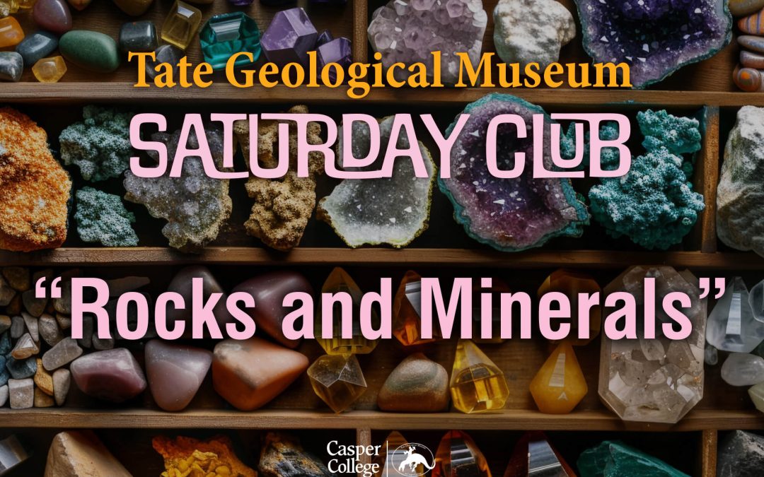 Tate Geological Museum hosts free ‘Saturday Club’ geology workshop for kids
