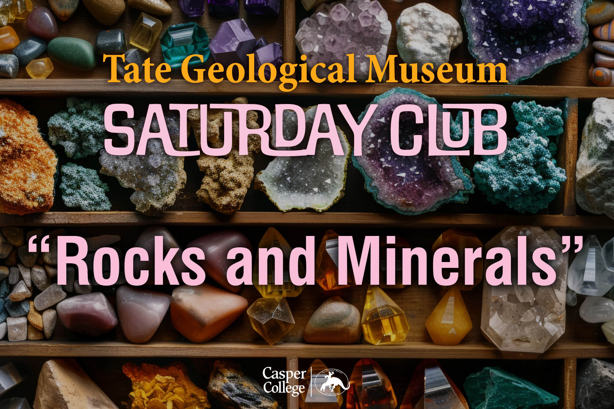Image with rocks and minerals in a display box with the words Tate Geological Museum Saturday Club "Rocks and Minerals" to accompany news release.