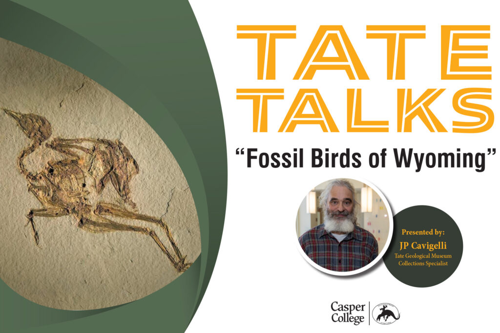 Image of bird fossl imprint in rock, and a small photo of JP Cavigelli with the words Tate Talk "Fossil Birds of Wyoming" Presented by JP Cavigelli Tate Geological Museum Collections Specialist.